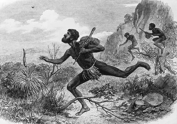 1863: Aboriginal hunters bee-hunters in the Australian bush