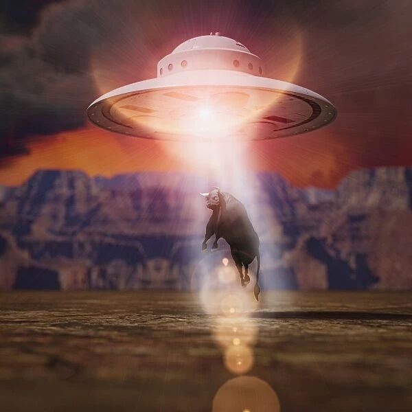 abduction, alien, animals, ar, augmented reality, beam, beaming, bizarre, bull, color image