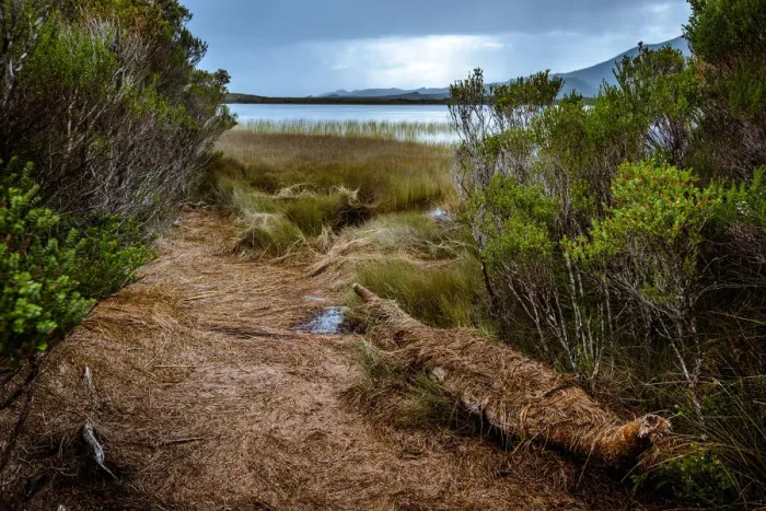 Framed Print : Aboriginal Canoe at Melaleuca, Southwest Tasmania