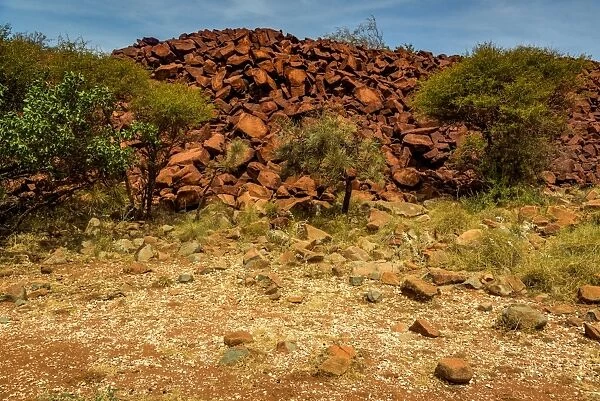 Aboriginal midden composed of cockle shells