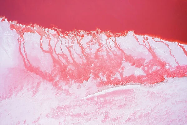 Abstract background, pink salt lake, Western Australia