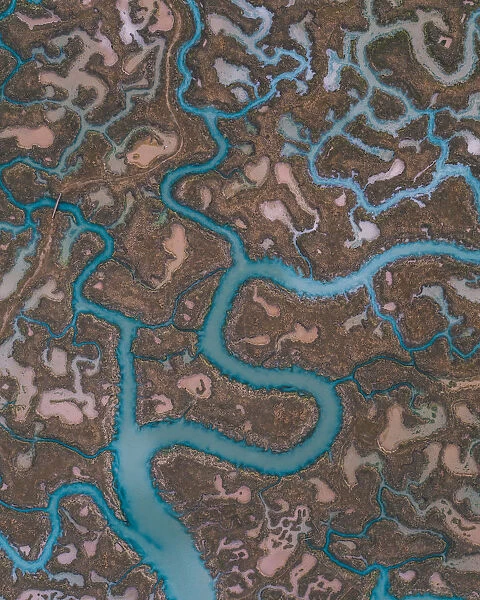 Abstract view of textures in the marshlands, Essex, England, United Kingdom