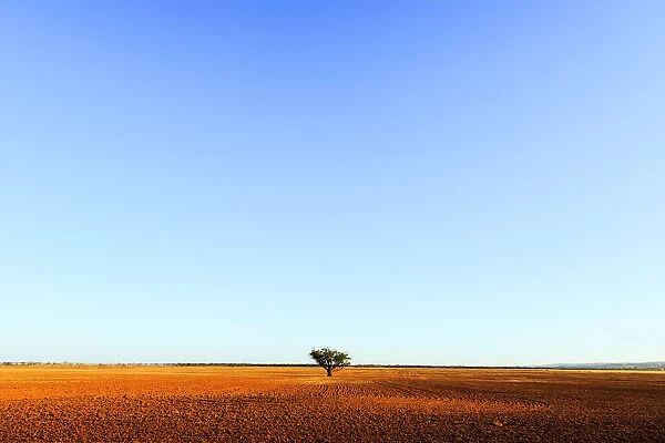 Adelaide Plains, alone, Australia, Australian, blue sky, earth. soil, flat, Getty Images