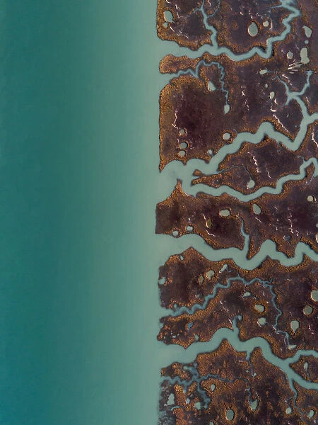 Aerial image above marshlands at the edge of a river, Cadiz, Spain