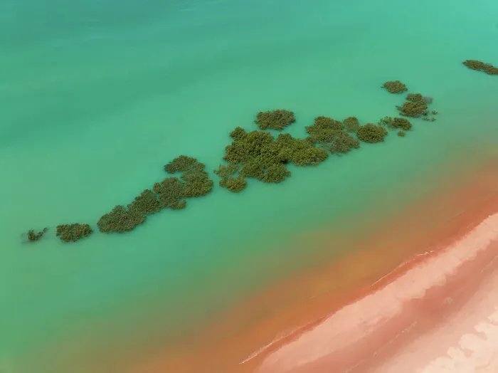 Framed Print : Aerial image showing mangrove trees in the Indian Ocean off Simpson Beach, Broome, Western Australia, Australia Framed Print : Aerial image showing mangrove trees in the Indian Ocean off Simpson Beach, Broome, Western Australia, Australia