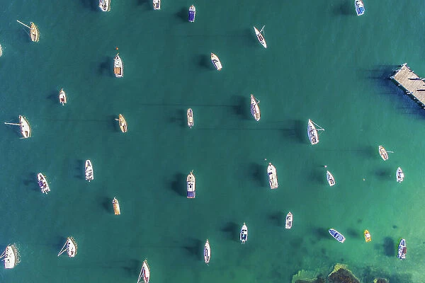 Aerial photo of Sydney - Watsons Bay boats harbour