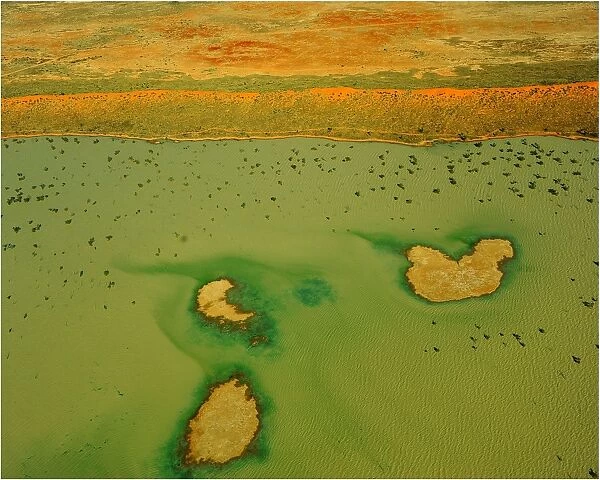 An Aerial view of the Australian outback in flood, showing the vibrant colours of the Landscape