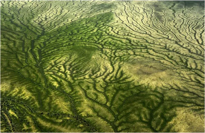 Framed Print : Aerial view of the Channel country in flood, outback Queensland, Australia