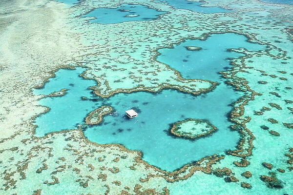 Aerial view of Hardy reef, Great Barrier Reef, Australia