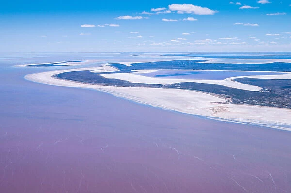 Aerial view of Lake Eyre with pink water Australia