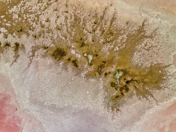 Aerial view of the natural patterns of the salty pink Lake MacDonnell in South Australia