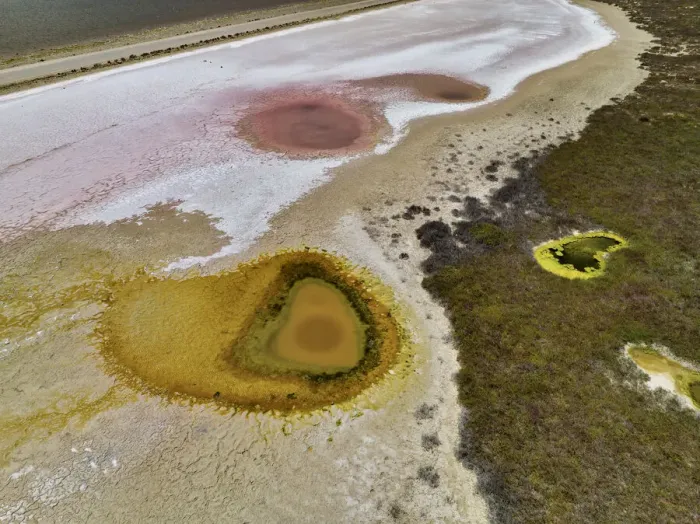 Framed Print : Aerial view of the natural patterns of the salty pink Lake MacDonnell in South Australia