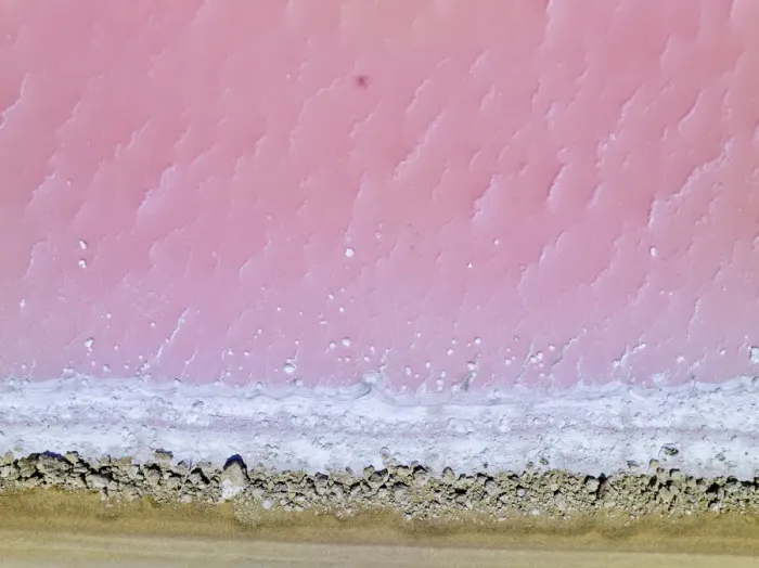 Framed Print : Aerial view of the natural patterns of the salty pink Lake MacDonnell in South Australia