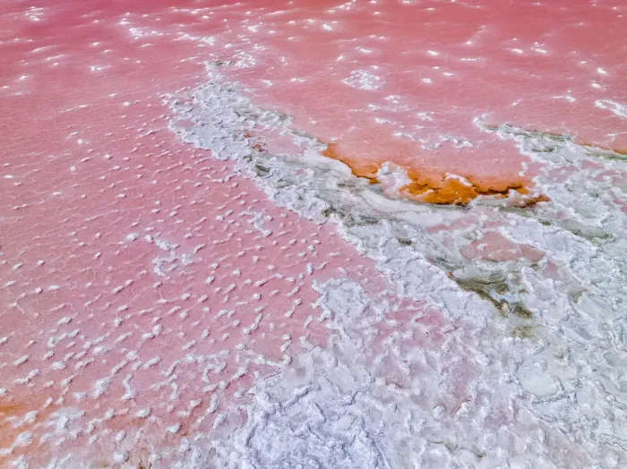 Framed Print : Aerial view of the natural patterns of the salty pink Lake MacDonnell in South Australia Framed Print : Aerial view of the natural patterns of the salty pink Lake MacDonnell in South Australia