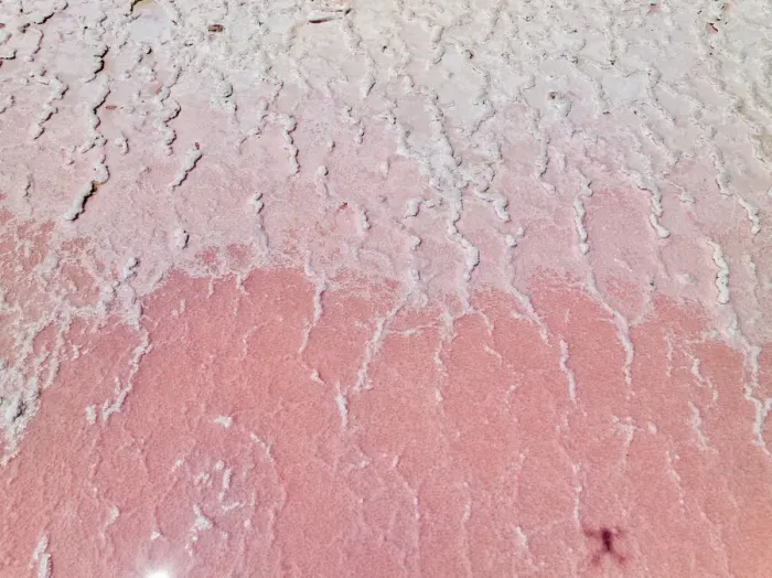 Framed Print : Aerial view of the natural patterns of the salty pink Lake MacDonnell in South Australia Framed Print : Aerial view of the natural patterns of the salty pink Lake MacDonnell in South Australia