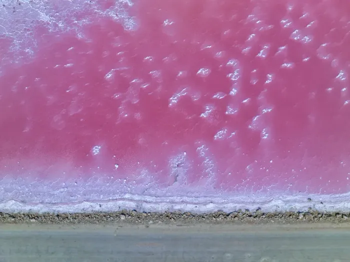 Framed Print : Aerial view of the natural patterns of the salty pink Lake MacDonnell in South Australia