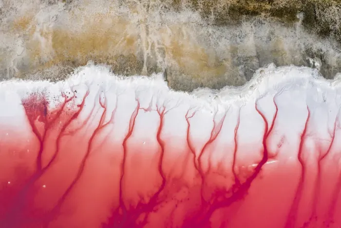 Framed Print : Aerial view of patterns of salty pink lake. Pink Salt Lake Hutt Lagoon Framed Print : Aerial view of patterns of salty pink lake. Pink Salt Lake Hutt Lagoon
