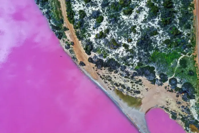 Framed Print : Aerial view over the stunning colourful lake at Hutt lagoon. Port Gregory, Western Australia Framed Print : Aerial view over the stunning colourful lake at Hutt lagoon. Port Gregory, Western Australia