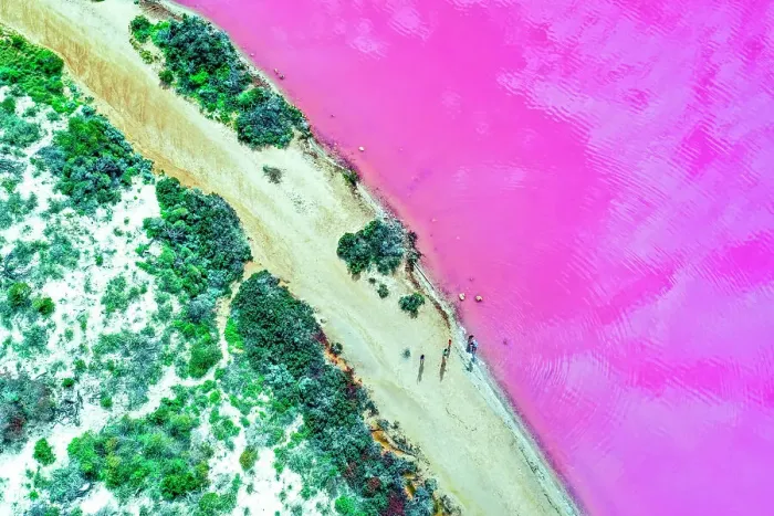 Framed Print : Aerial view over the stunning colourful lake at Hutt lagoon. Port Gregory, Western Australia Framed Print : Aerial view over the stunning colourful lake at Hutt lagoon. Port Gregory, Western Australia