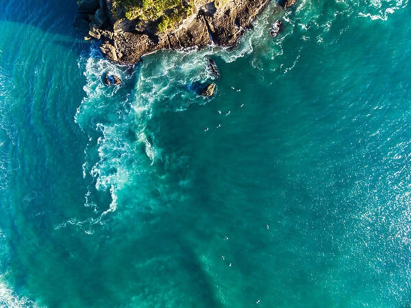 Aerial View Of Surfers At Piha Beach, Auckland, New Zealand