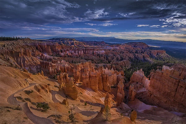 Afternoon light in Bryce Canyon, Utah, South West United States