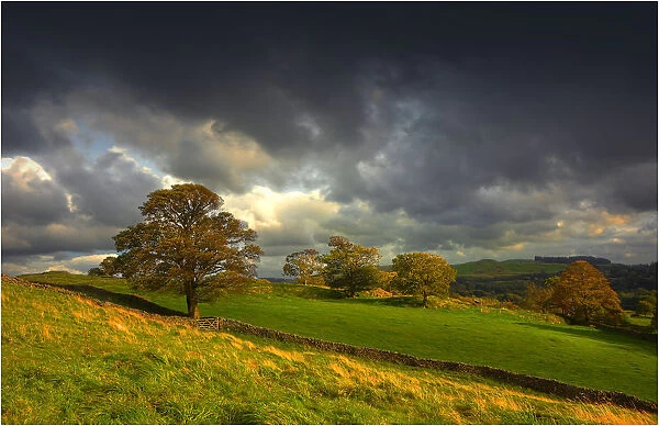 Afternoon light in the Lake district, Cumbria, north west England, United kingdom