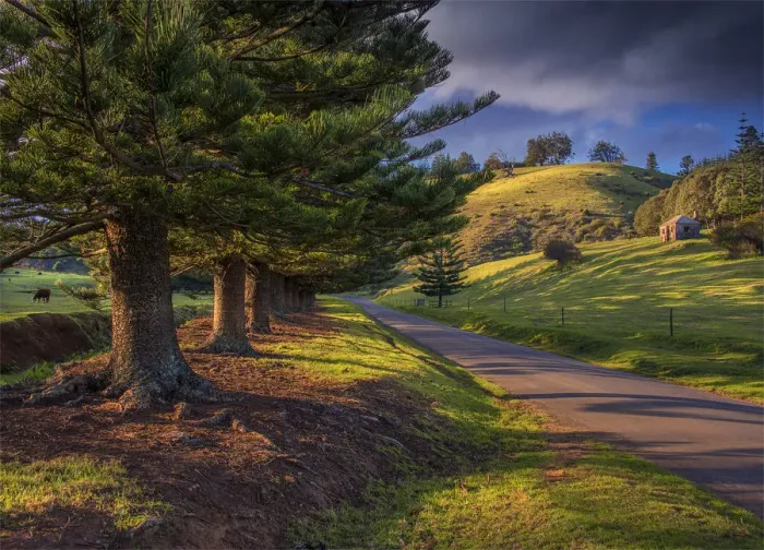 Framed Print : Afternoon light sweeps across the Arthur Vale valley, Norfolk Island