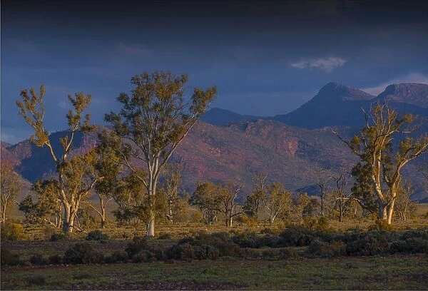 Afternoon light sweeps across the countryside with a view of the distant mountains of the Flinders Ranges national park, South Australia