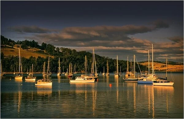 Afternoon light sweeps across the moored boats in the protected and picturesque bay at Kettering, southern Tasmania