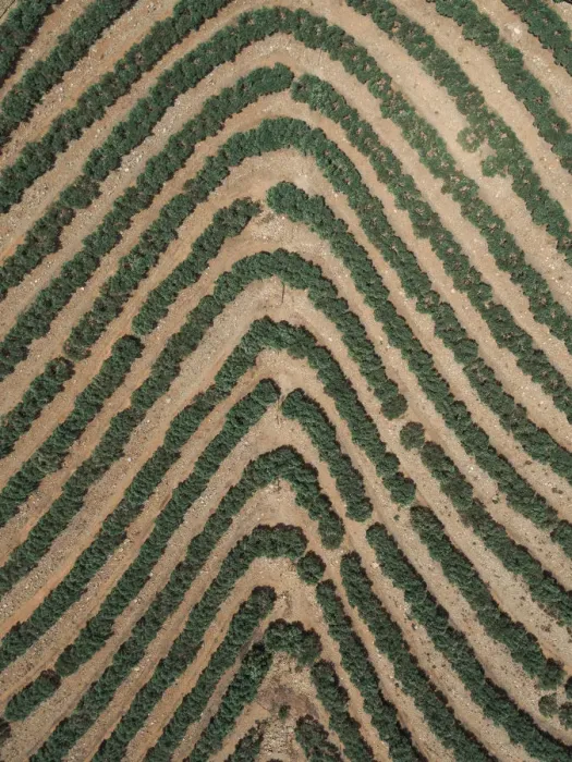 Framed Print : Agricultural patterns as seen from above, France Framed Print : Agricultural patterns as seen from above, France