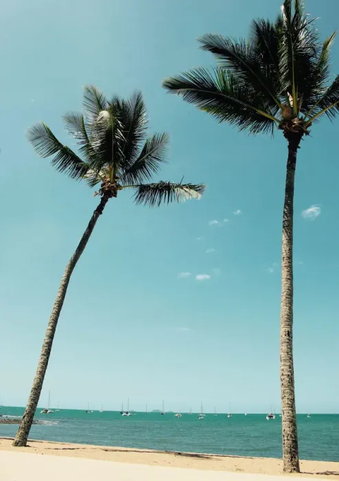 Framed Print : Airlie Beach Bliss