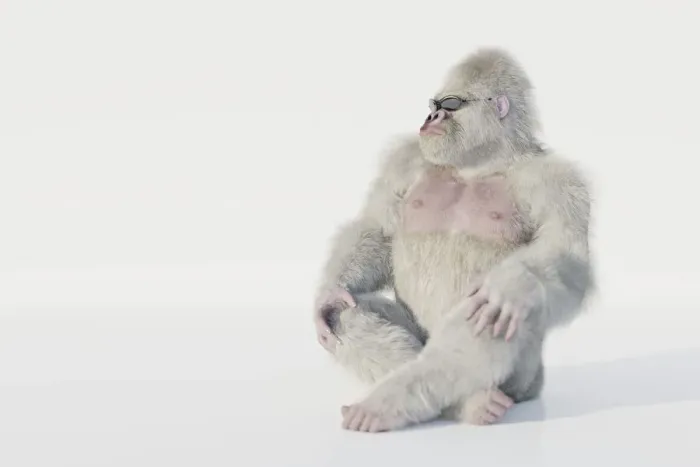 Framed Print : Albino gorilla with sunglasses sitting