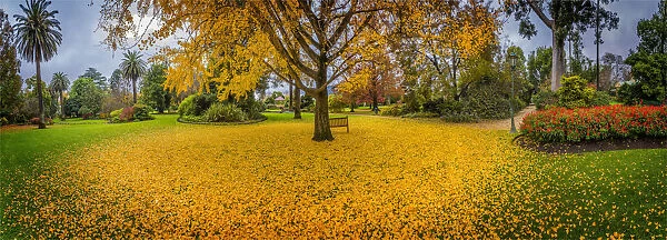 Albury botanical gardens in Autumn, New South Wales, Australia