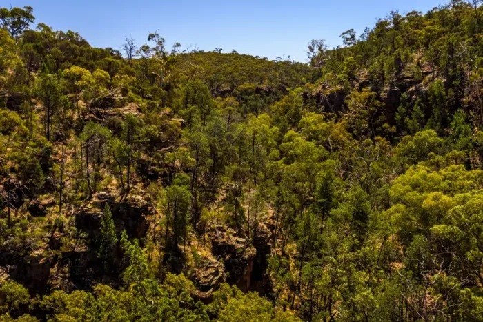 Framed Print : Alligator Gorge in Mount Remarkable National Park Framed Print : Alligator Gorge in Mount Remarkable National Park