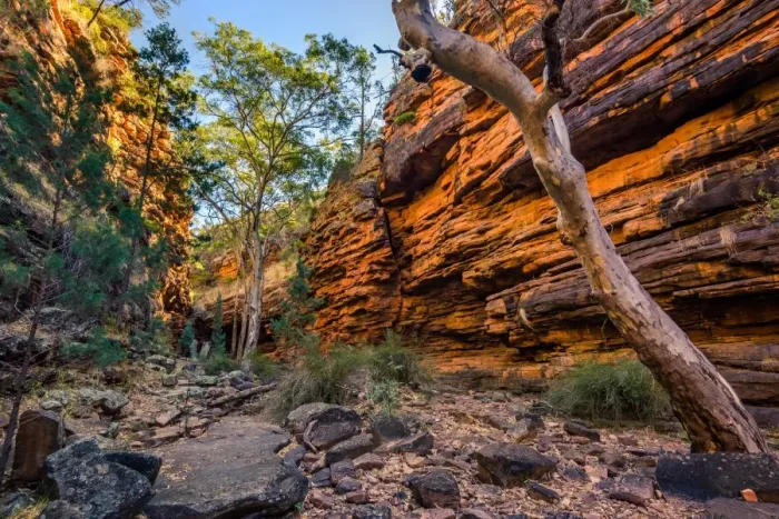 Framed Print : Alligator Gorge in Mount Remarkable National Park. Flinders Ranges, South Australia
