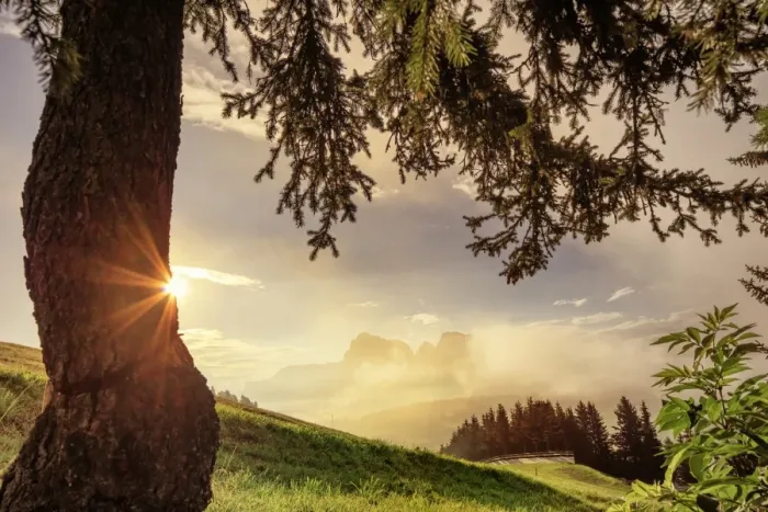Framed Print : Alpe di Siusi, Dolomites