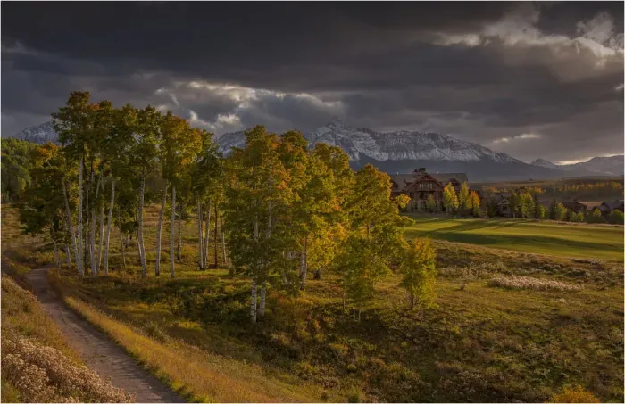 Framed Print : Alpine meadow in autumn near Telluride, Colorado, south west United States of America Framed Print : Alpine meadow in autumn near Telluride, Colorado, south west United States of America