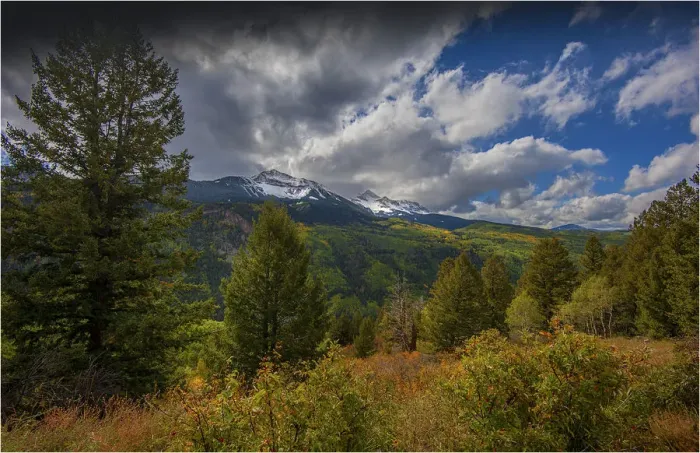 Framed Print : Alpine meadow in autumn near Telluride, Colorado, south west United States of America