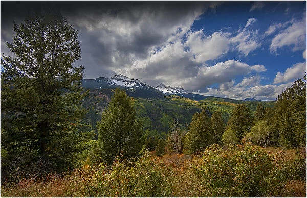 Alpine meadow in autumn near Telluride, Colorado, south west United States of America
