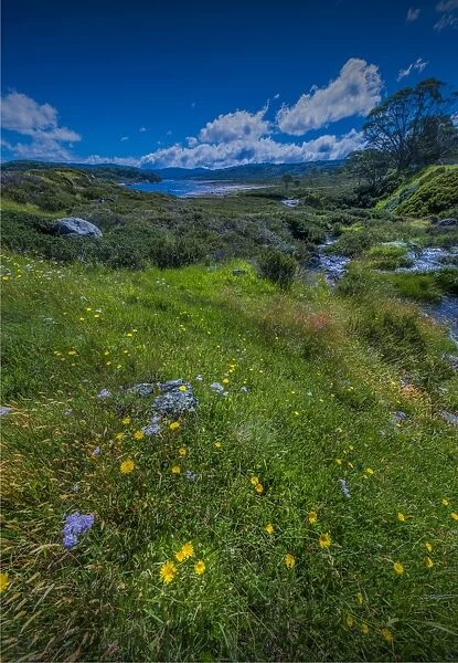 Alpine scenery near Falls creek in the mountainous region of north east Victoria, Australia