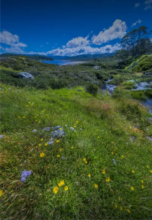 Framed Print : Alpine scenery near Falls creek in the mountainous region of north east Victoria, Australia Framed Print : Alpine scenery near Falls creek in the mountainous region of north east Victoria, Australia