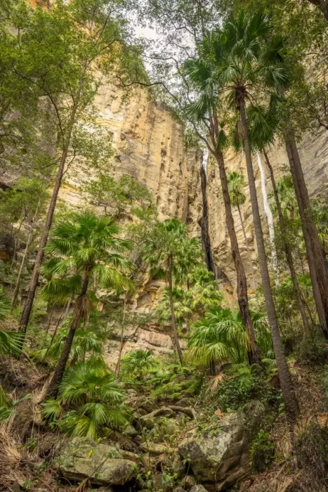 Framed Print : The Amphitheatre at Carnarvon Gorge