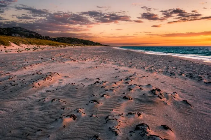 Framed Print : Animal Exercise Beach in Perth Framed Print : Animal Exercise Beach in Perth