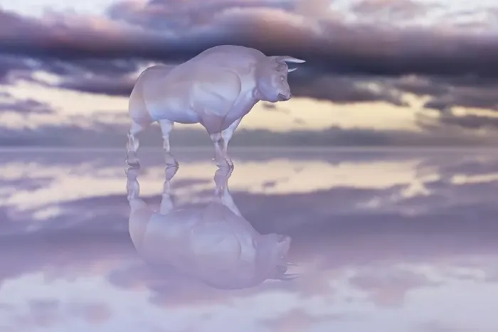 Framed Print : animals, bull, cloud, color image, copy space, glass, horizontal, livestock, low angle view Framed Print : animals, bull, cloud, color image, copy space, glass, horizontal, livestock, low angle view