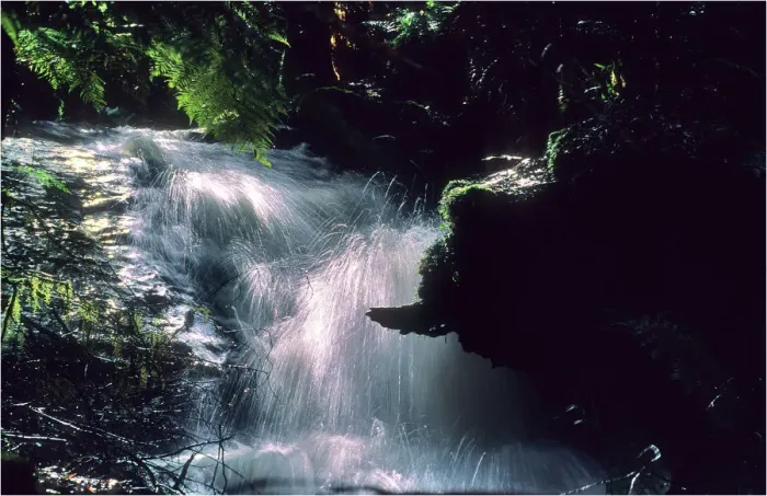 Framed Print : Anns cascade is a small waterfall in the Otway Rainforest, Western Victoria