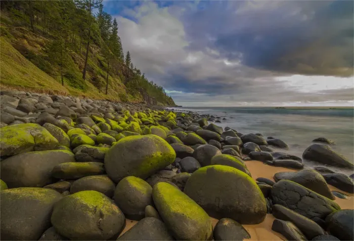 Framed Print : Anson Bay, Norfolk Island, south pacific ocean Framed Print : Anson Bay, Norfolk Island, south pacific ocean