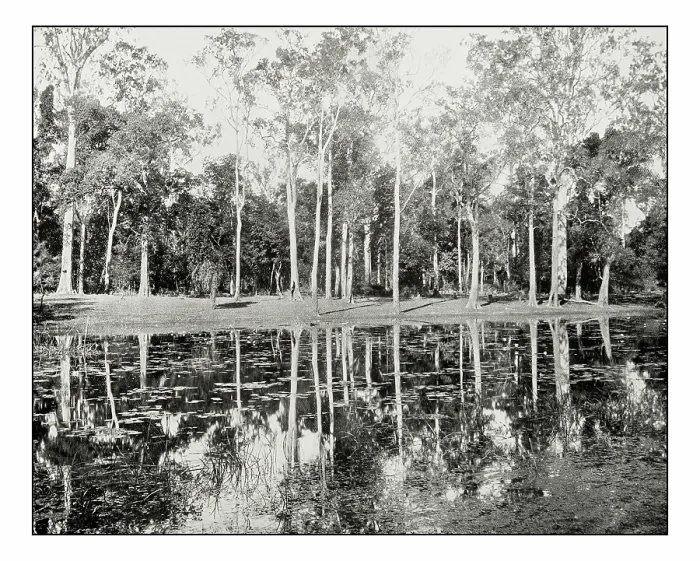 Framed Print : Antique photograph of Lagoon on the Clarence River Framed Print : Antique photograph of Lagoon on the Clarence River