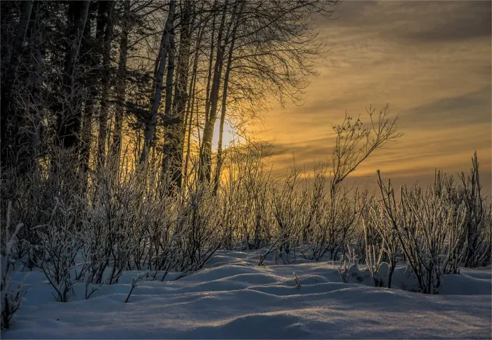 Framed Print : Approaching Dusk in winter at Lassbyn, Lapland, Sweden Framed Print : Approaching Dusk in winter at Lassbyn, Lapland, Sweden