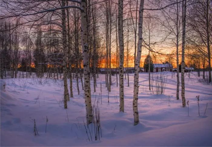 Framed Print : Approaching Dusk in winter at Lassbyn, Lapland, Sweden Framed Print : Approaching Dusk in winter at Lassbyn, Lapland, Sweden