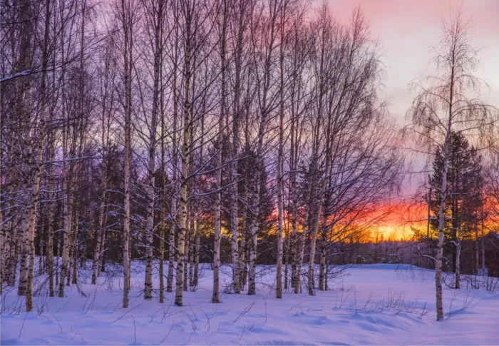 Framed Print : Approaching Dusk in winter at Lassbyn, Lapland, Sweden